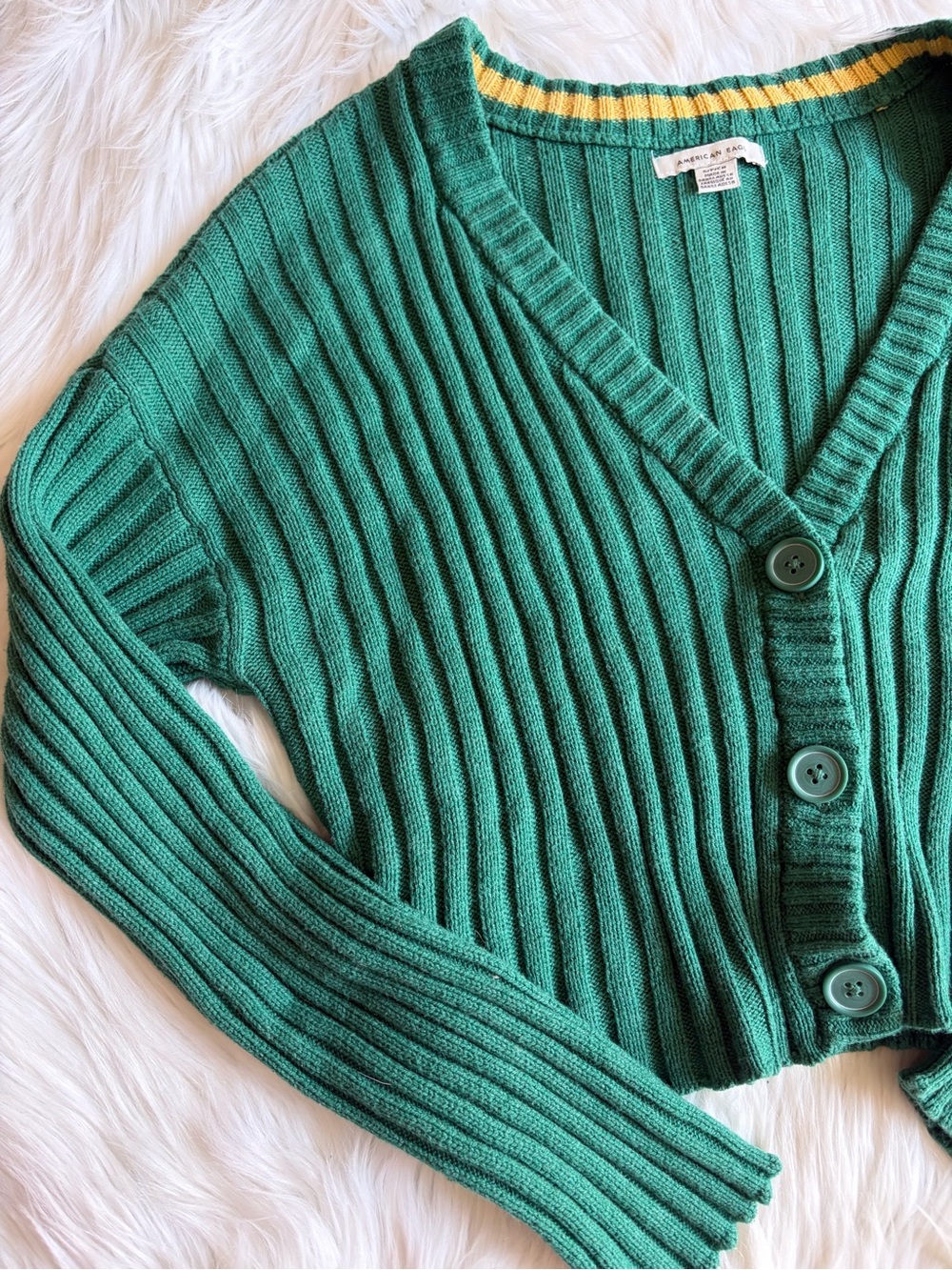 American Eagle Outfitters Emerald Ribbed V-Neck Button Cardigan